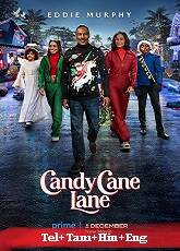 Candy Cane Lane