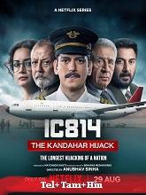 IC 814: The Kandahar Hijack Season 1